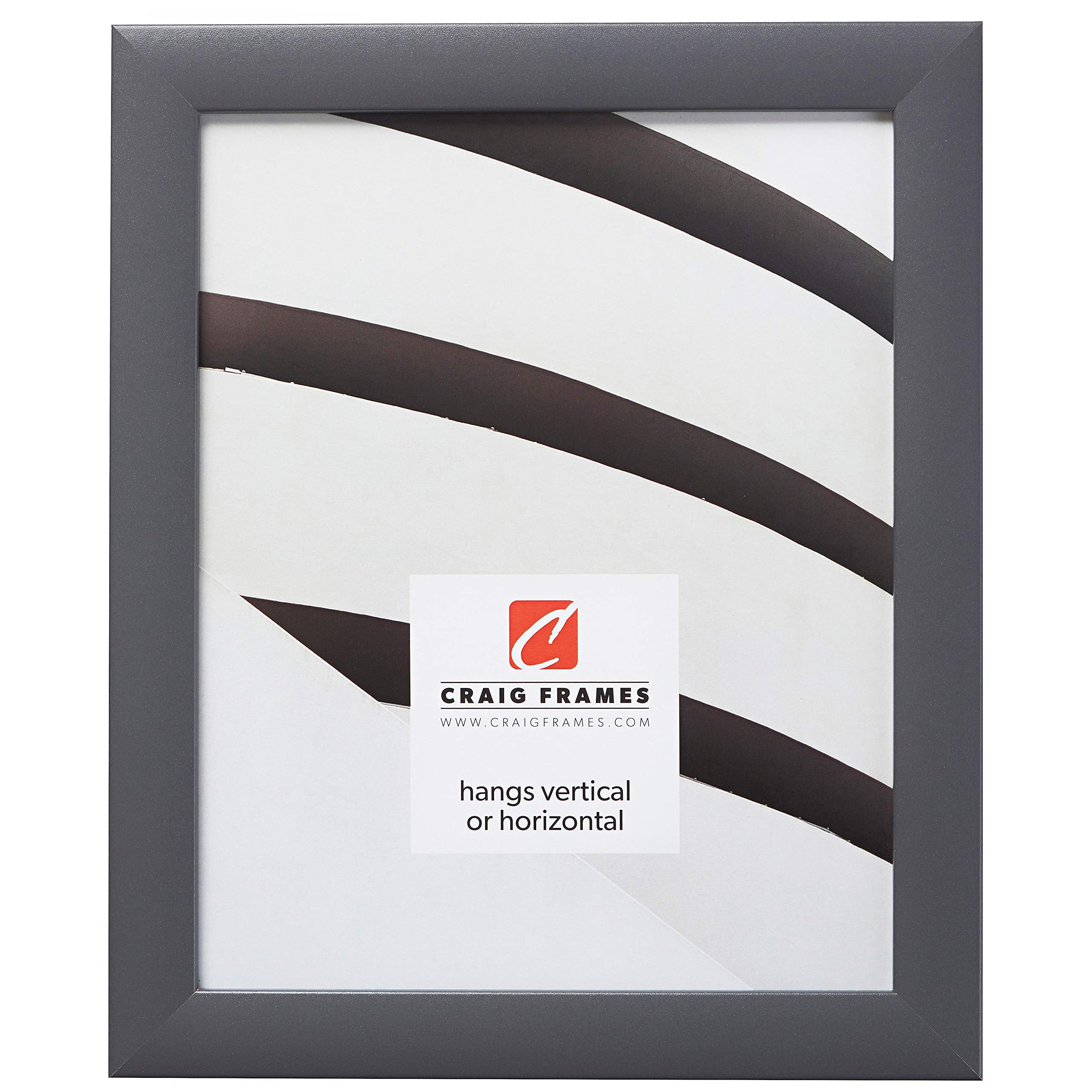 Craig Frames Contemporary Picture Frame, 12 x 17 Inch, Grey