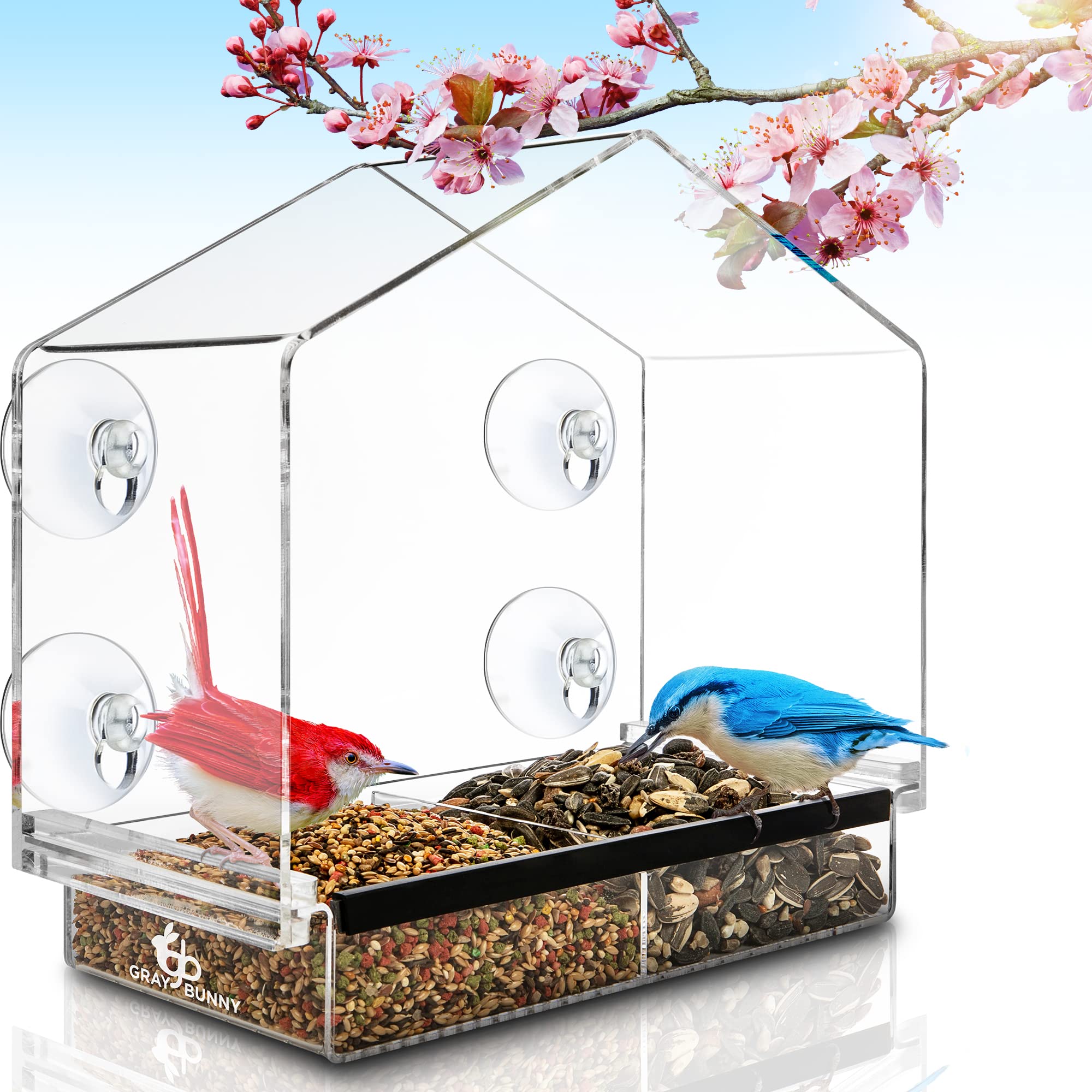 Clear Bird Feeders For Window - Bird House Style Window Bird Feeder - Window Bird Feeders With Strong Suction Cups - Drain Holes