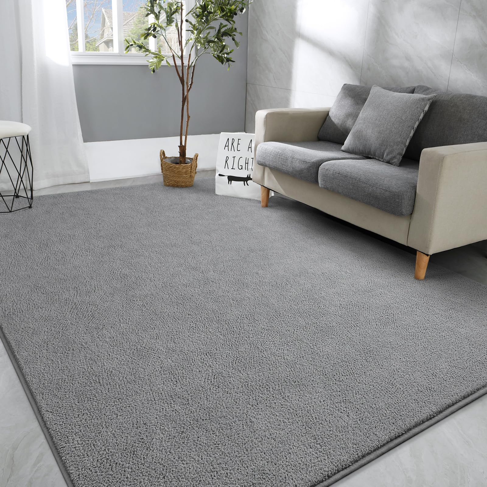 Hutha Large Area Rugs for Bedroom Living Room, 4x6 Grey Solid Fluffy Super Soft Memory-Foam Furry Bedside Carpets, Modern Indoor