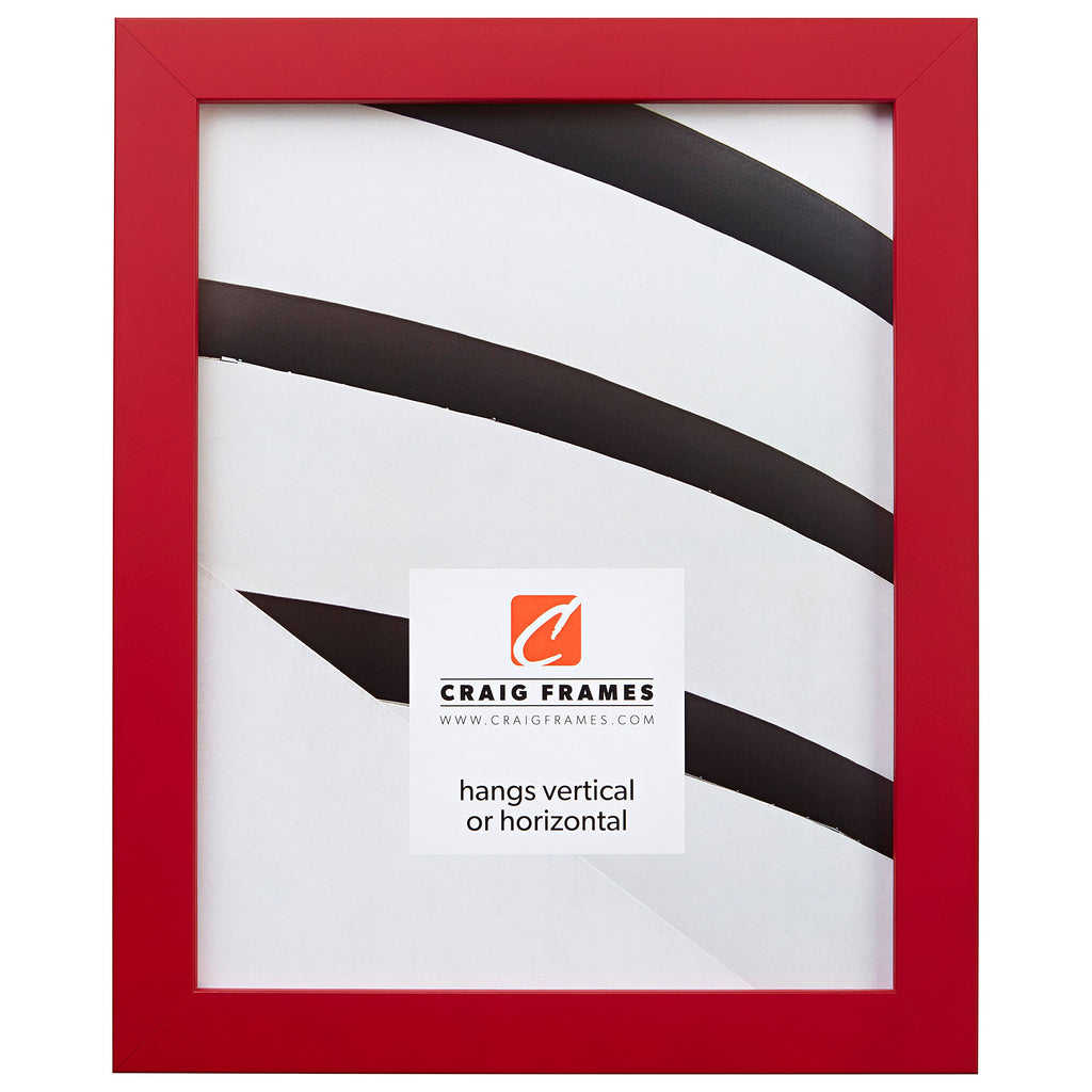 Craig Frames Confetti, Modern Red Picture Frame, 20 x 27 Inch