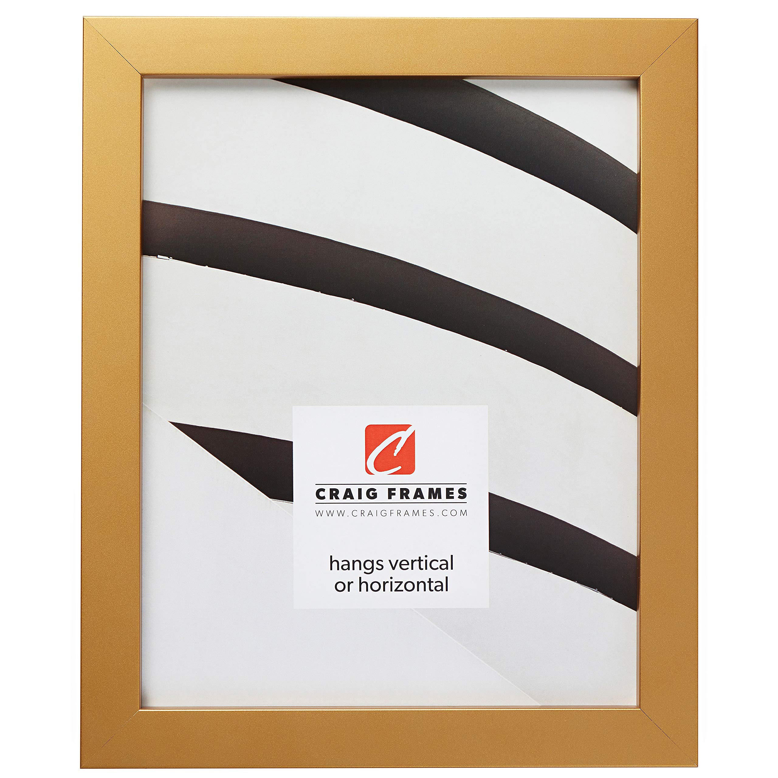 Craig Frames Confetti, Modern Gold Picture Frame, 12 x 36 Inch