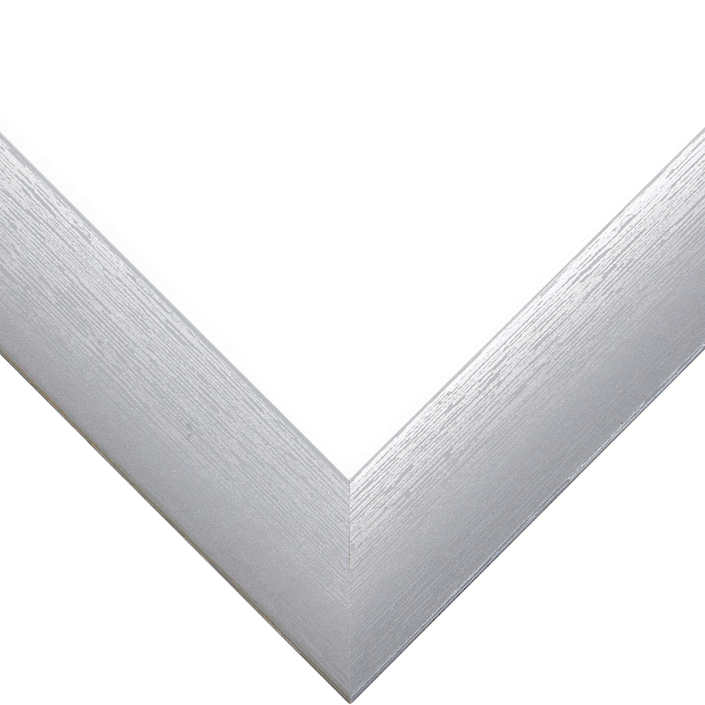 Craig Frames Contemporary Picture Frame, 10 X 12 Inch, Brushed Silver