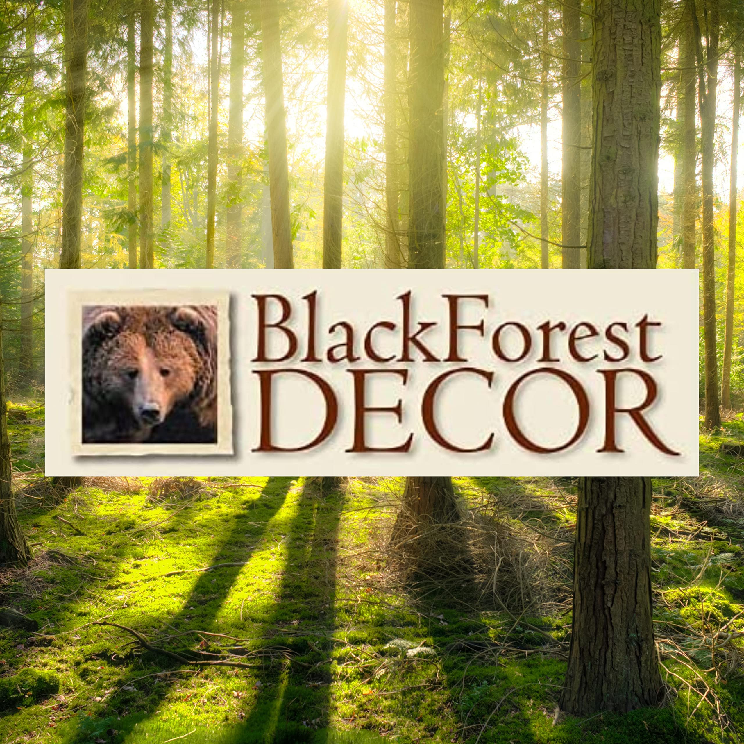 Black Forest D  Cor - Bear Cub Toilet Paper Holder For Home, Cabin, Lodge, Bathroom - Vintage Rustic Wall D  Cor - Wood Resin