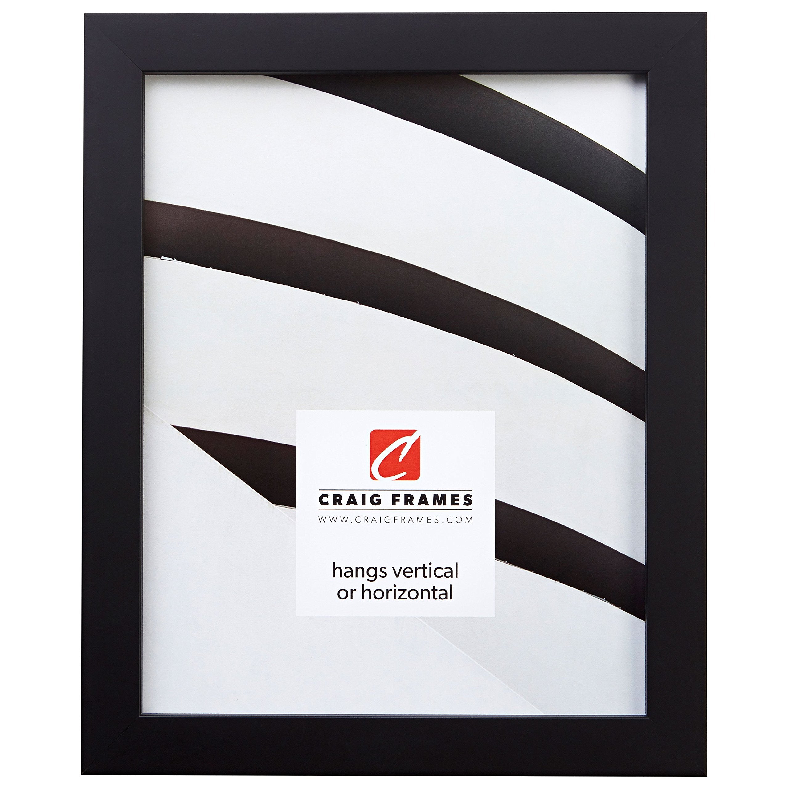 Craig Frames Confetti, Modern Black Picture Frame, 20 x 27 Inch