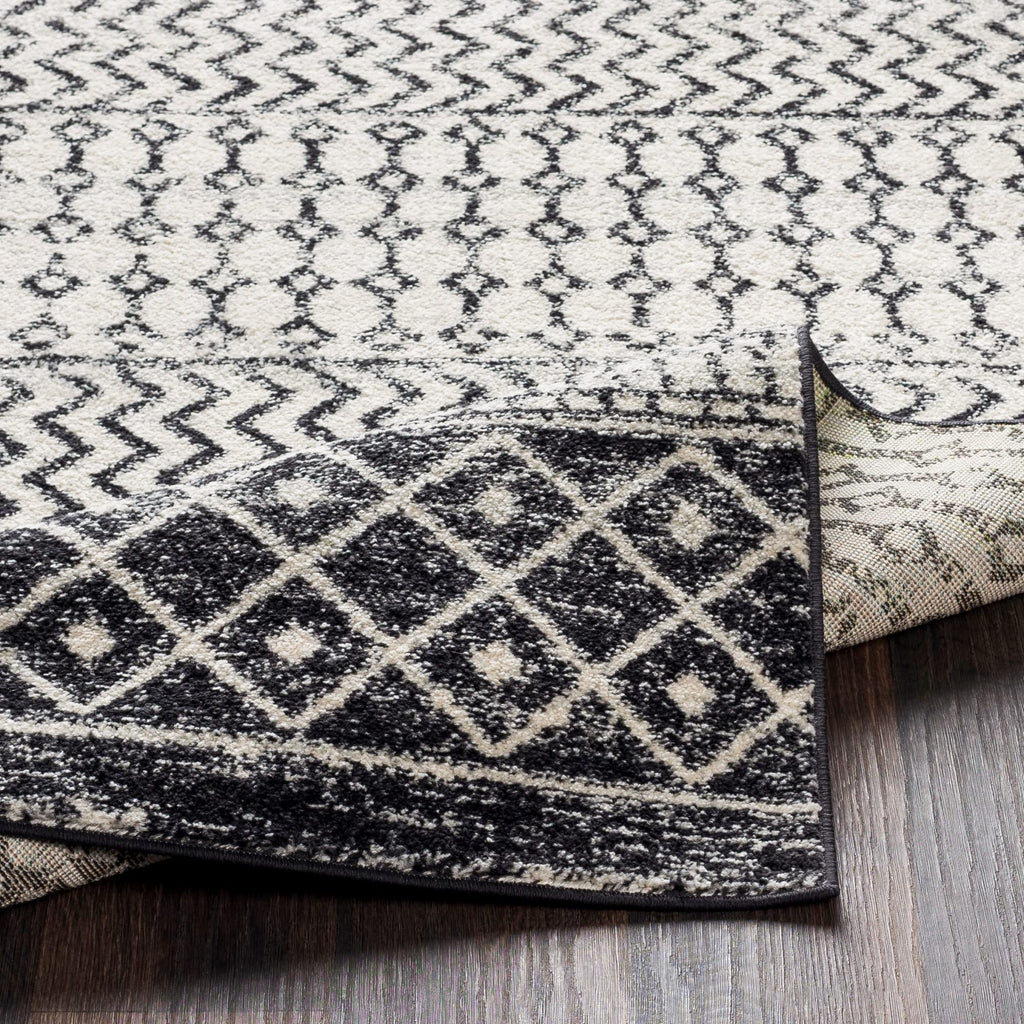 Livabliss Chester Boho Moroccan Runner Area Rug,2'7'' X 20',Black