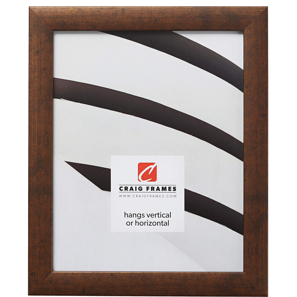 Craig Frames Contemporary Picture Frame, 16 x 23 Inch, Rustic Copper