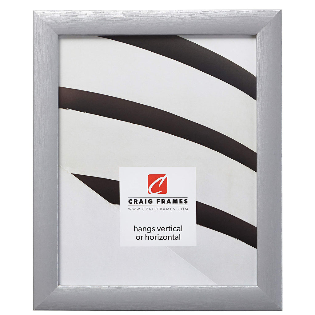 Craig Frames Contemporary Picture Frame, 22 x 34 Inch, Brushed Silver