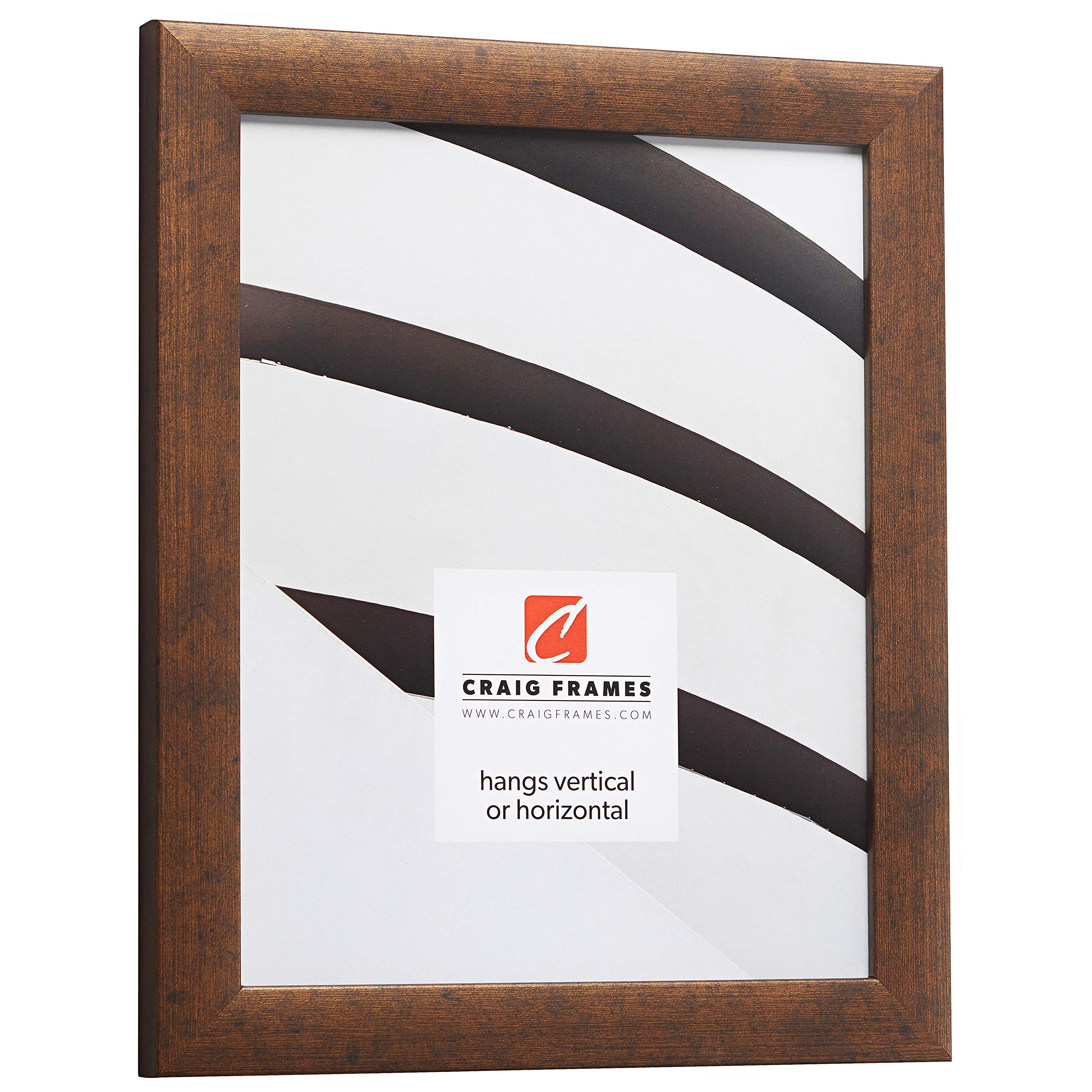 Craig Frames Contemporary Picture Frame, 10 X 12 Inch, Rustic Copper