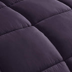 Chezmoi Collection 2-Piece Down Alternative Comforter Set - Lightweight All Seasons Luxurious Brushed Microfiber Comforter (Twin