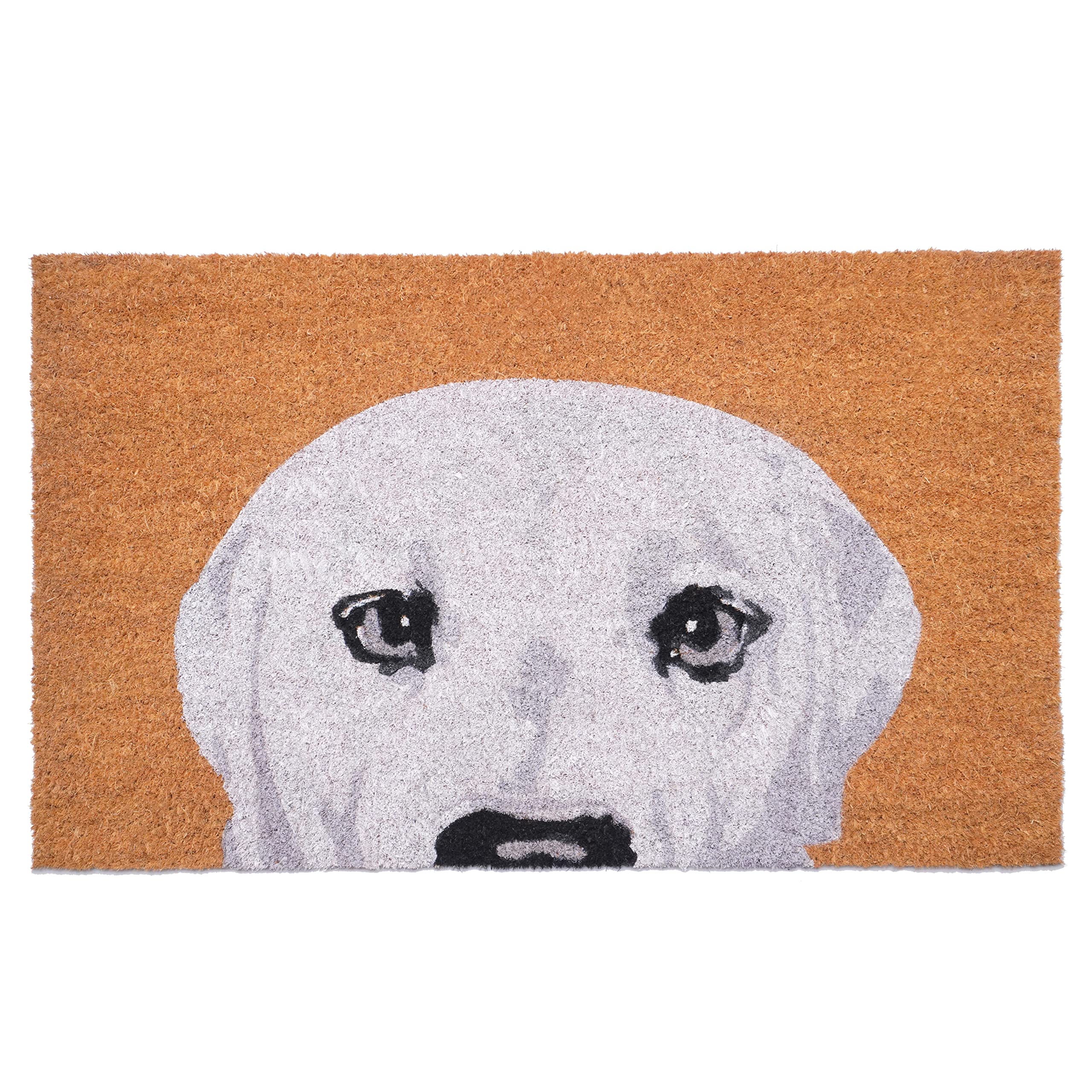 Calloway Mills White Labrador Doormat (17' X 29')