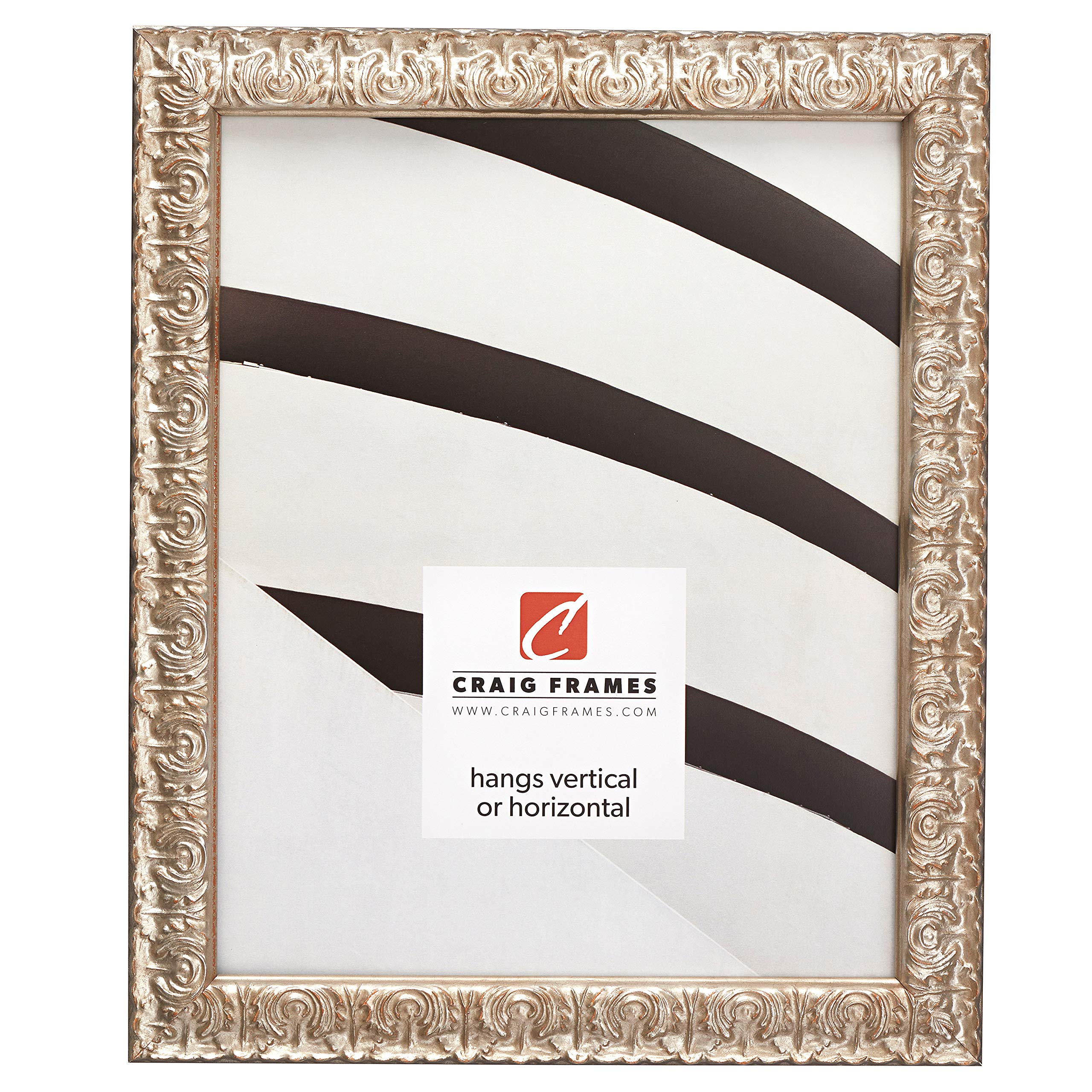 Craig Frames Versailles Picture Frame, 12 x 36 Inch, Silver