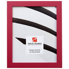 Craig Frames Confetti, Modern Pink Picture Frame, 19 x 25 Inch