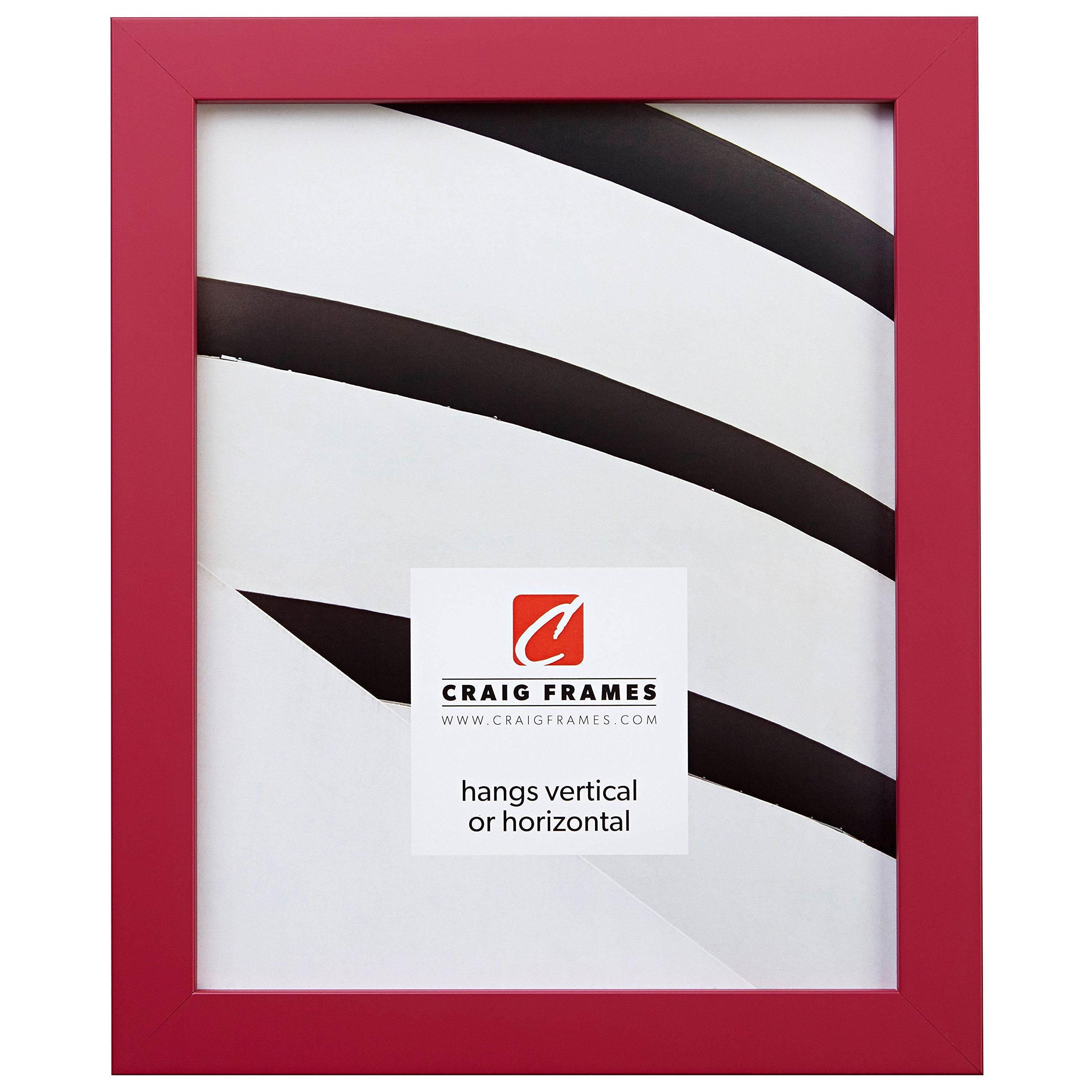 Craig Frames Confetti, Modern Pink Picture Frame, 19 x 25 Inch