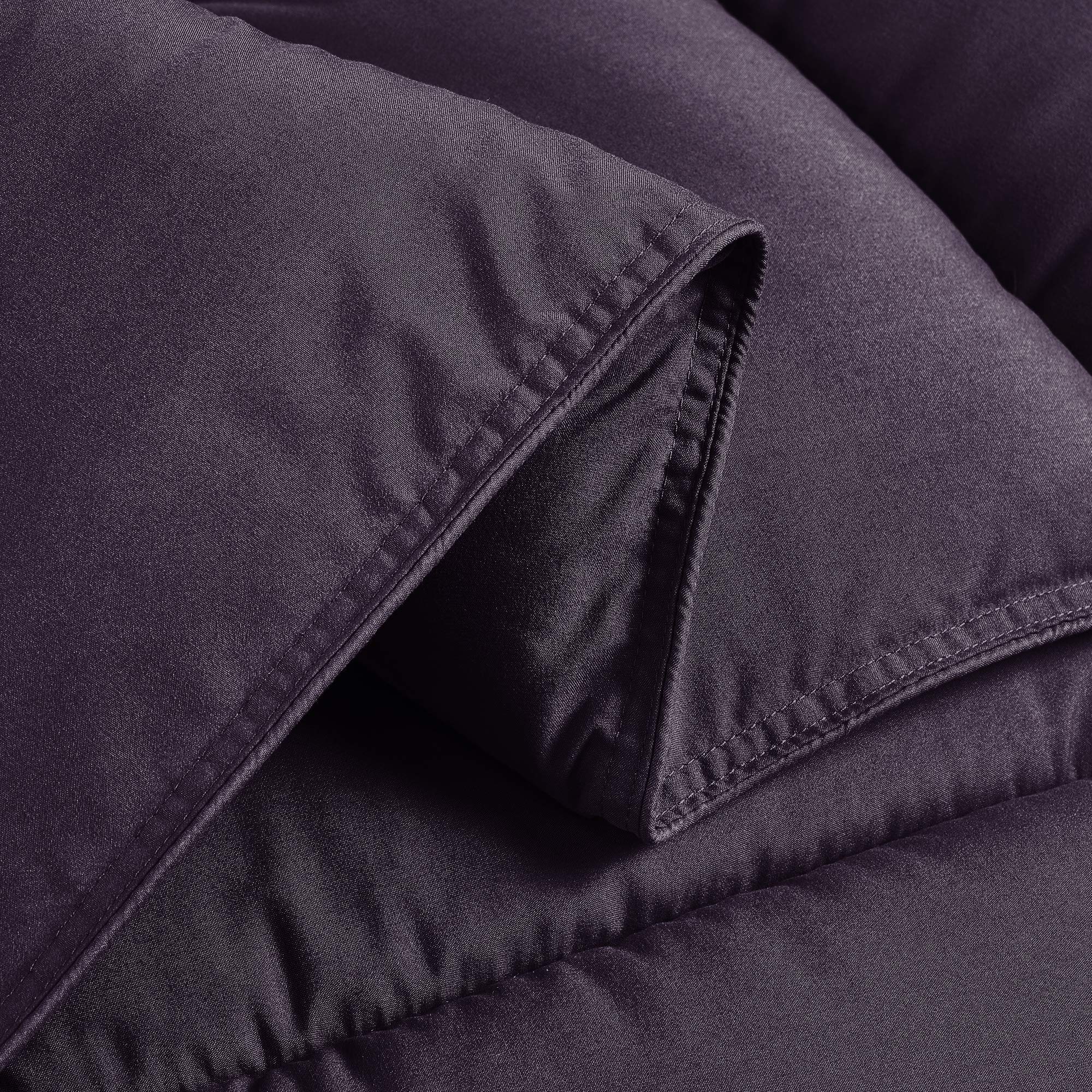 Chezmoi Collection 2-Piece Down Alternative Comforter Set - Lightweight All Seasons Luxurious Brushed Microfiber Comforter (Twin