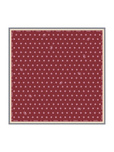 [Wine] SilkSilky  Scarf 001